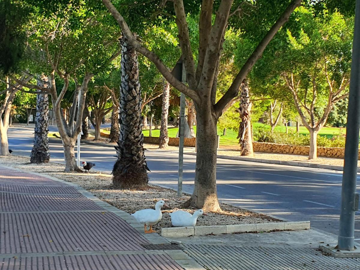 Md Cheap'N Chic Alicante Mutxamel Exteriör bild